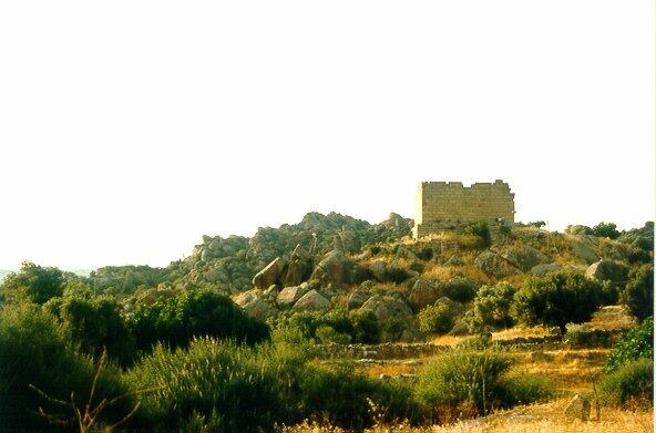 Heracleia Temple from S