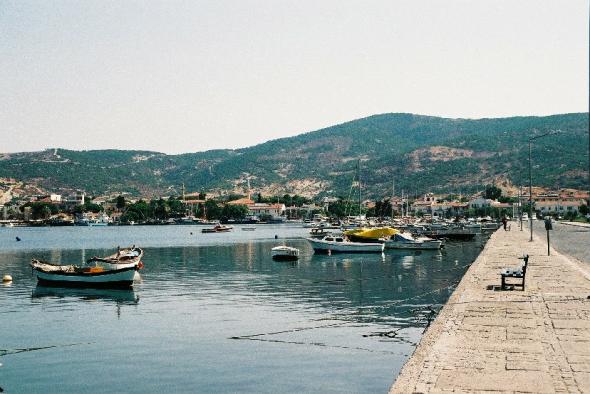 Foca harbor1