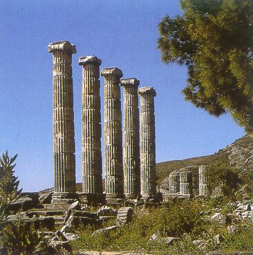 Athena Temple North Columns from NE