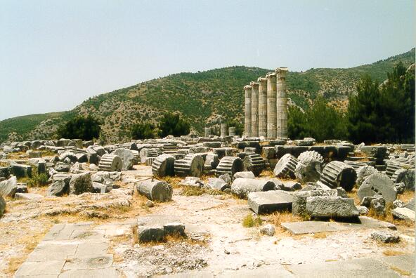 Athena Temple from E